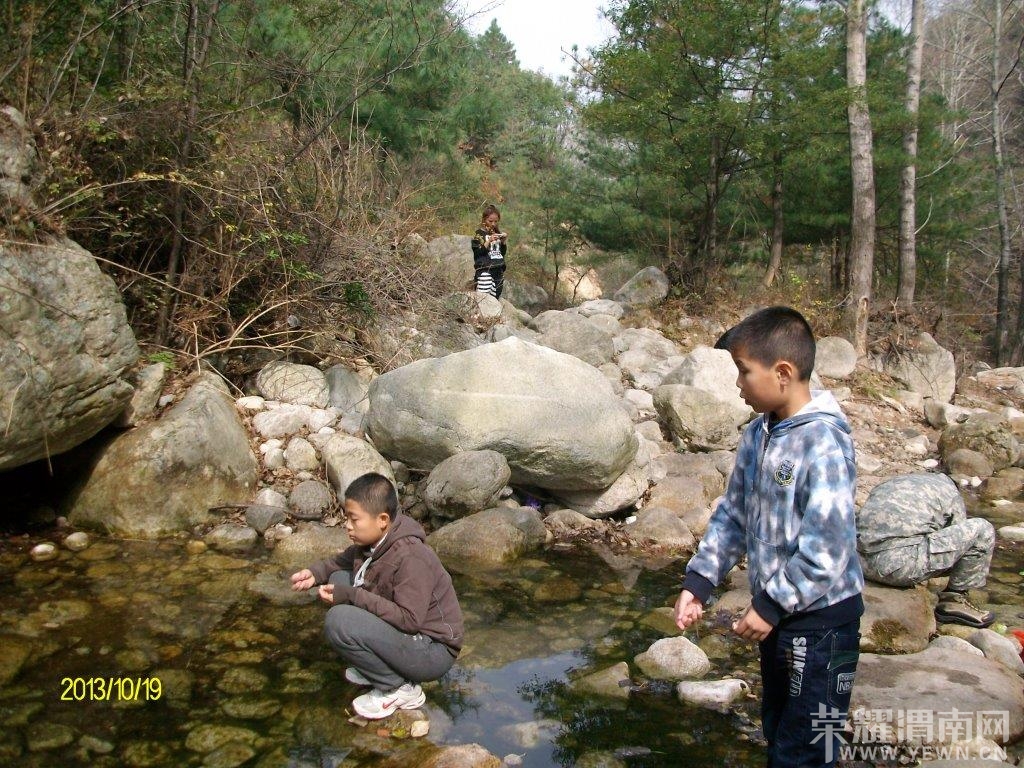 ALIM0010.jpg