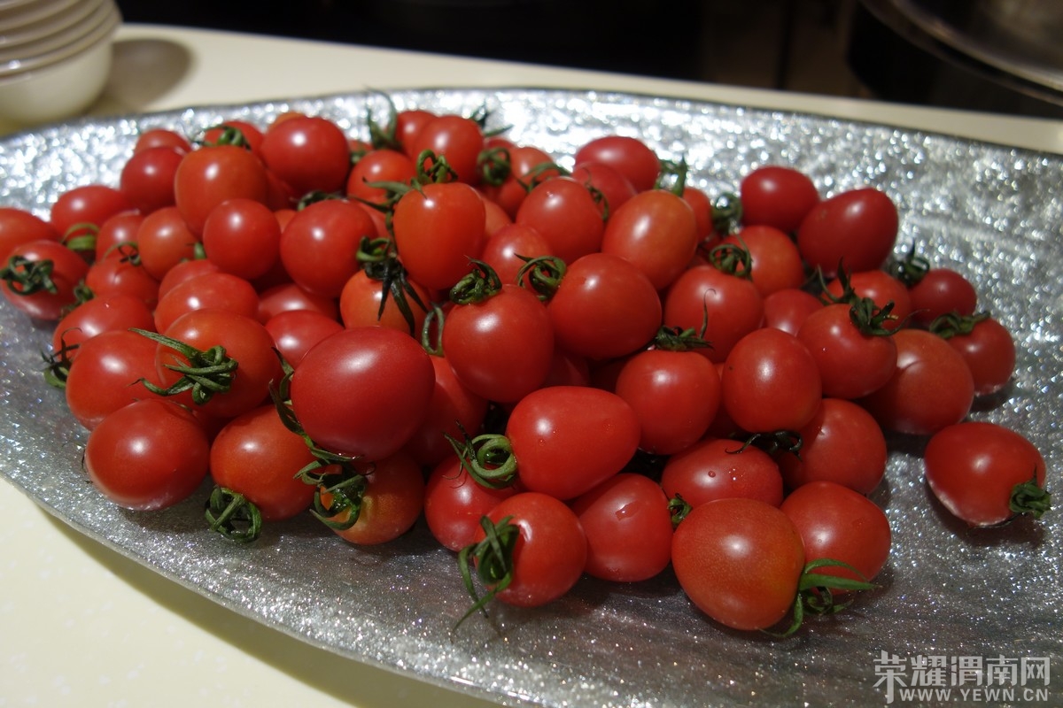 DSC05490.jpg