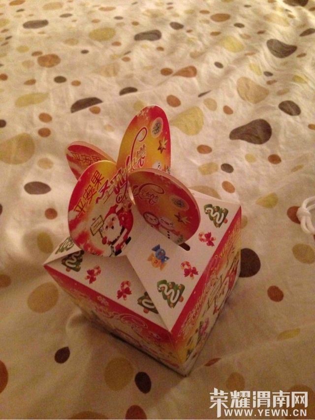 233386.jpg