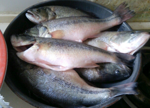 20140125153857_87616.jpg