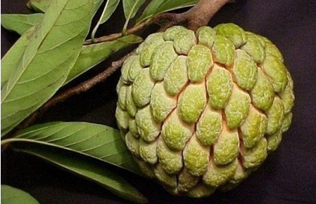 5.png