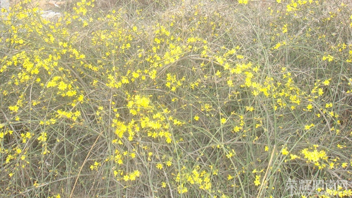 ӭ����.jpg