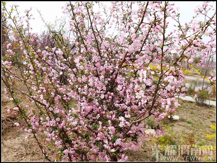 ��Ƭ 040.jpg