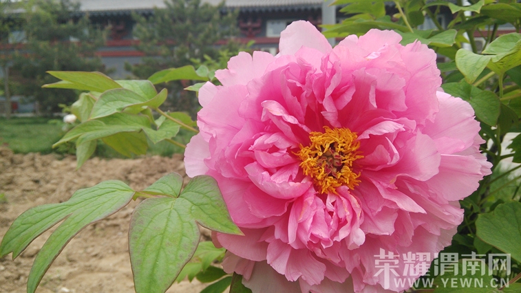 20140410_082434.jpg