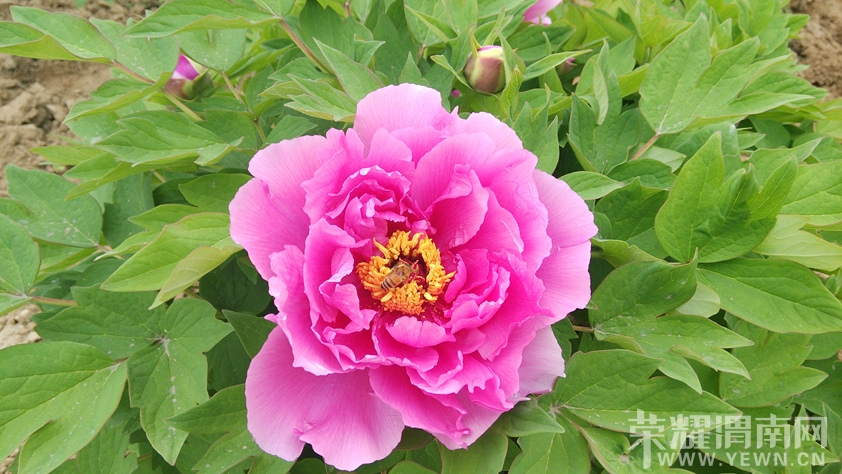 20140410_081629.jpg