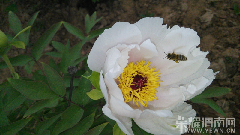 20140410_081949.jpg