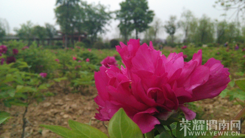 20140410_082150.jpg