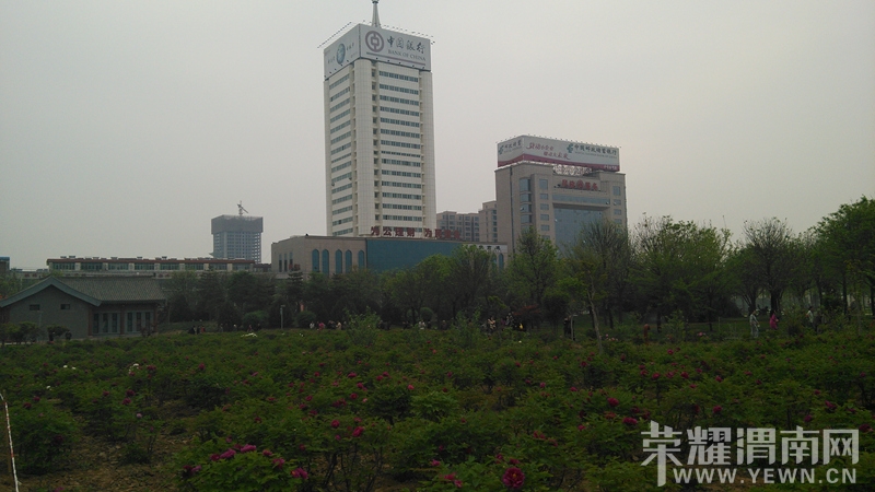 20140410_082303.jpg