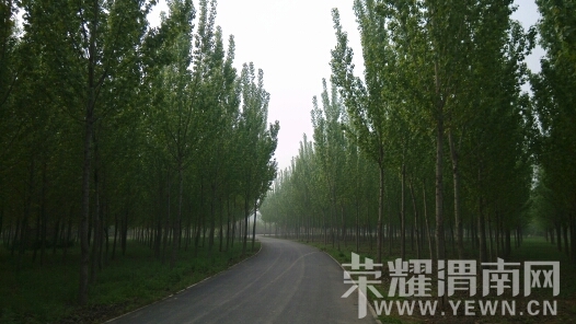 114547i6huyx4mmn4g6kwz.jpg