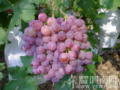 20110705152458.jpg