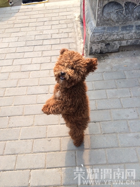 ��ʼ���Q��