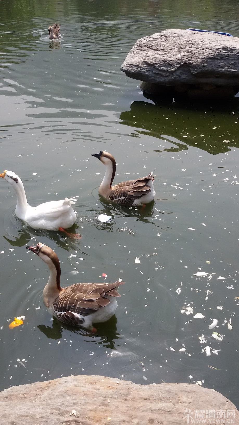 20140407_124511.jpg