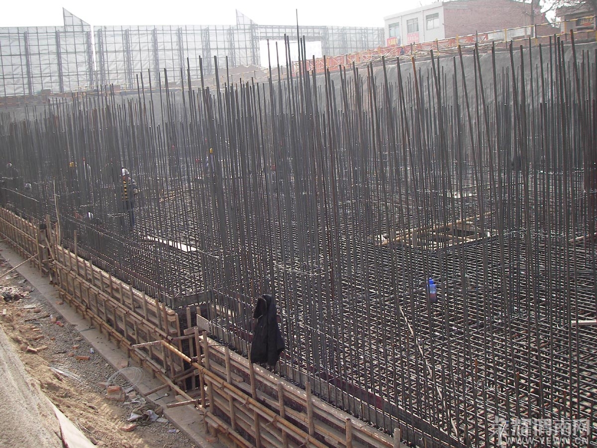 SANY0048.jpg