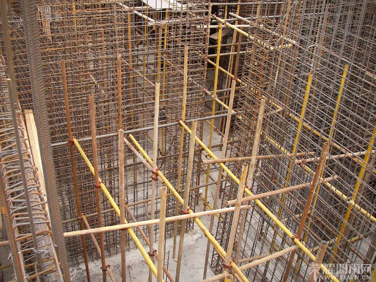 SANY0044.jpg