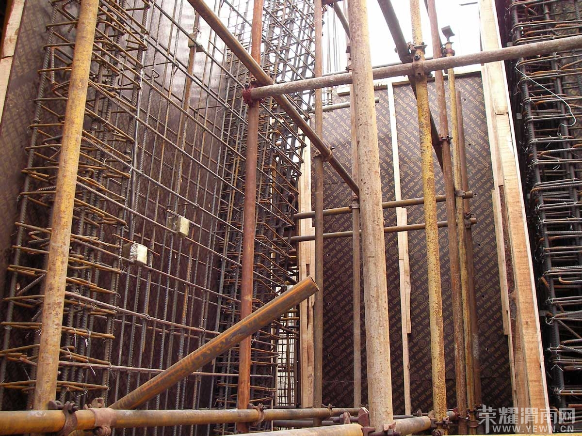 SANY0047.jpg