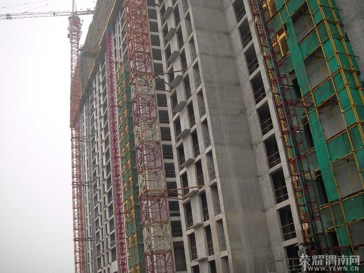 SANY0002111.jpg