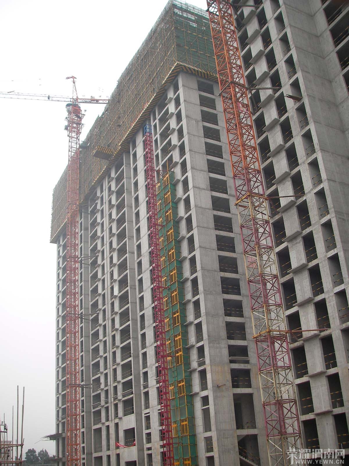 SANY0004111.jpg