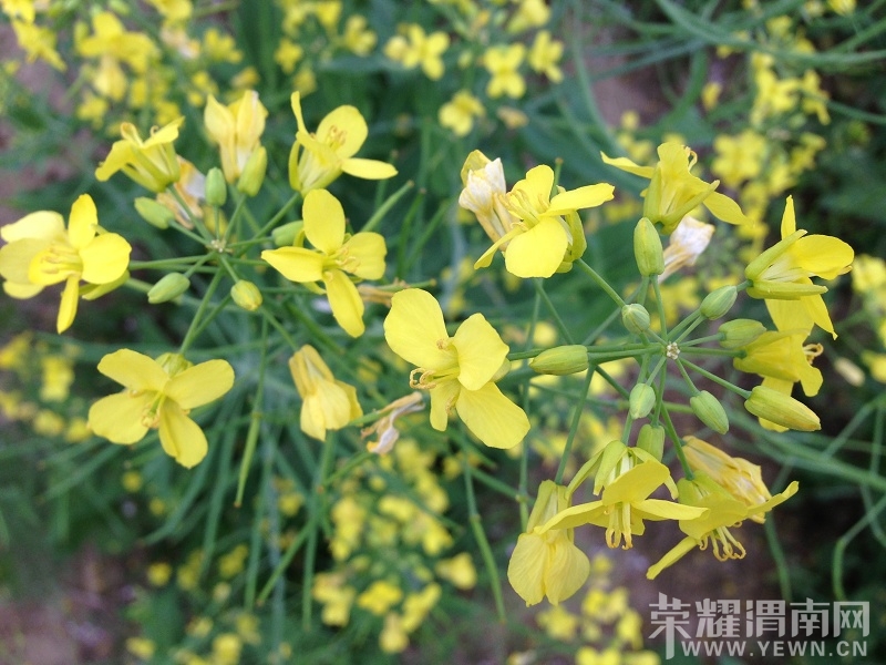 IMG_3307.3CD11817B99052A176509F16411C32C5_��Ŀѹ��.JPG