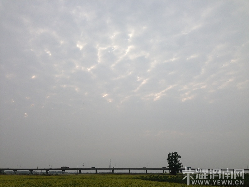 IMG_3313.FA4E7C6A7F745E235790B74A55A61F32_��Ŀѹ��.JPG