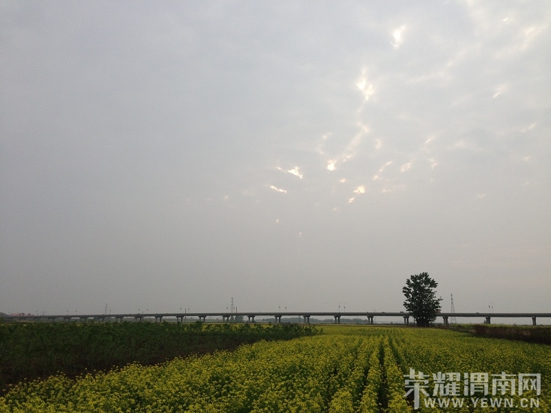 IMG_3315.808EA8E489773367E22D46A0186F4B70_��Ŀѹ��.JPG