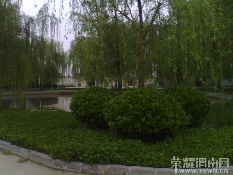 015648wp5005ypjyngn4xn.jpg