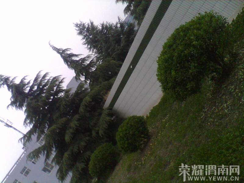 015702mth1t5ul7lntd9ta.jpg