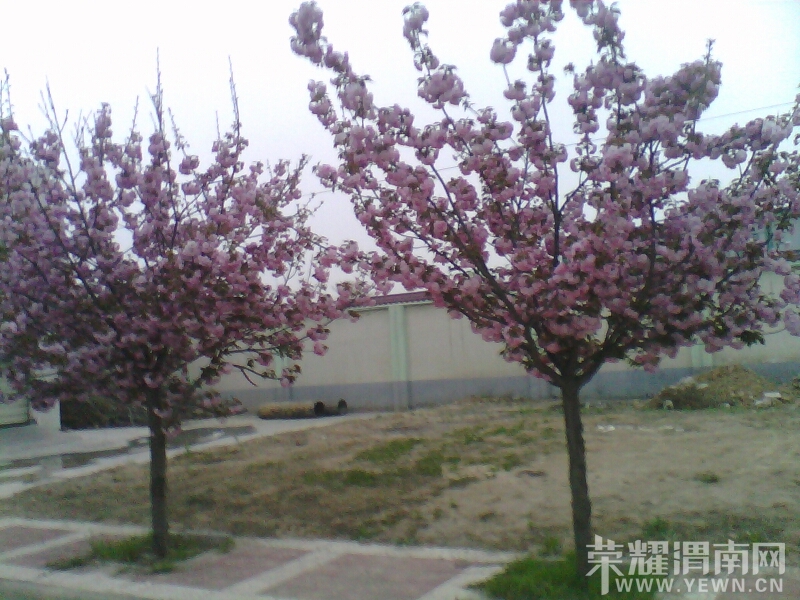 015819jtevgbkpst2agbx9.jpg
