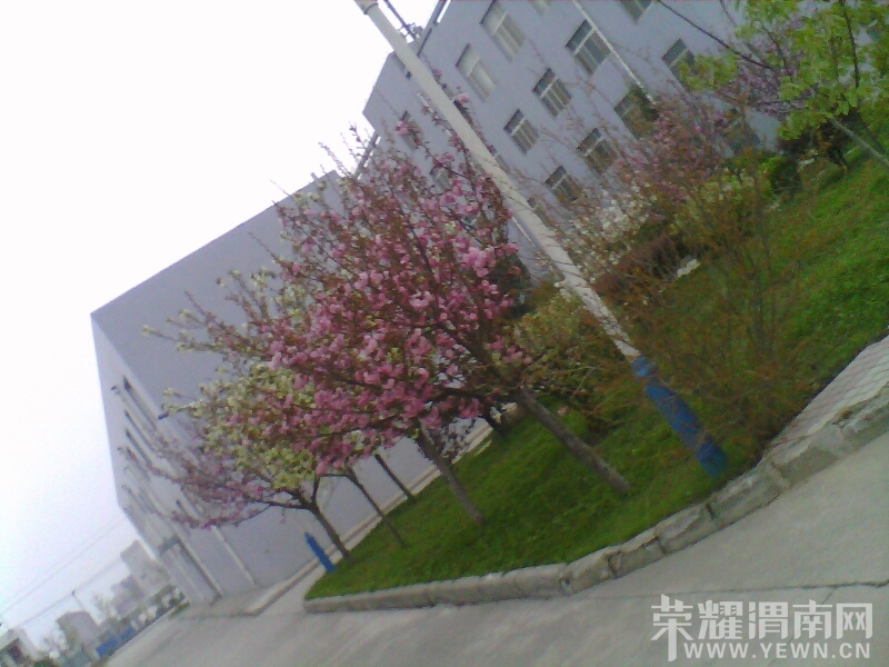 015829dg1c6so66uqu1szw.jpg