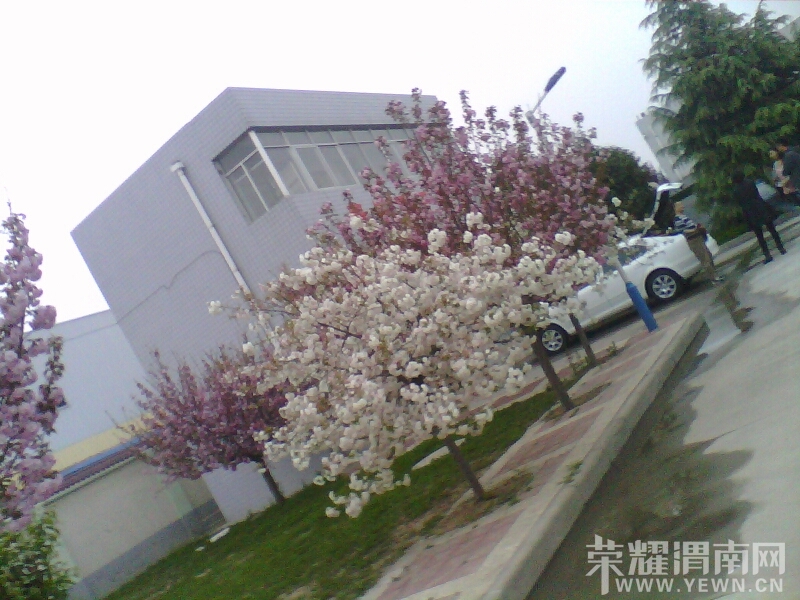 015836hptnntyt6ggggpn1.jpg