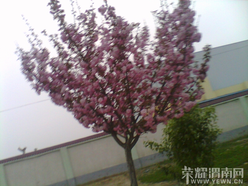 015847s0my0118m1miemwj.jpg