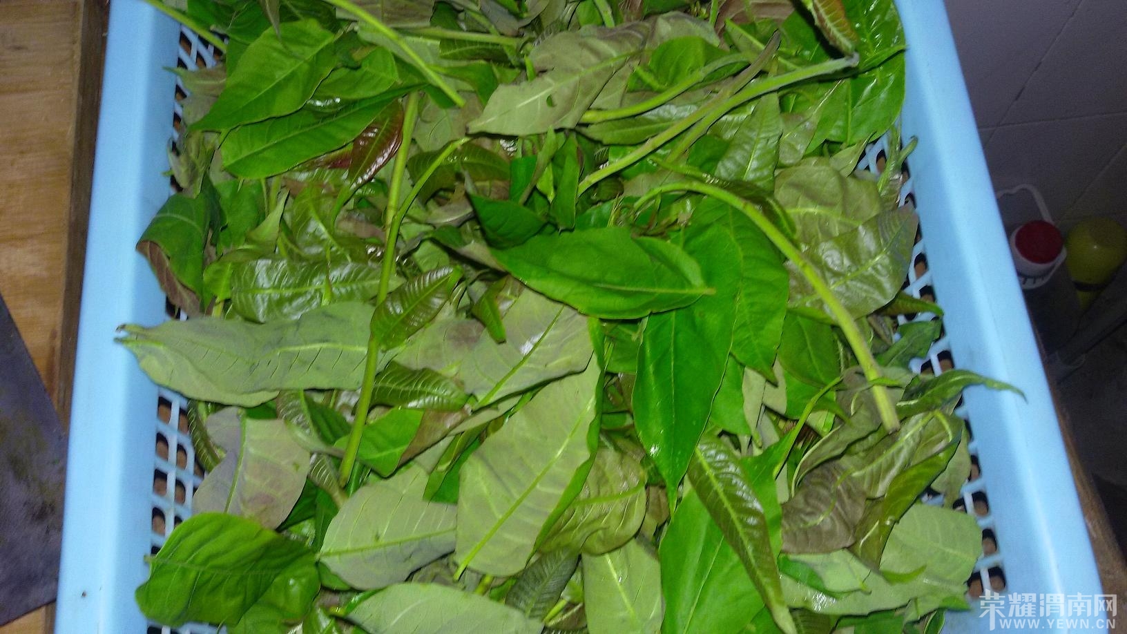20140417_185627.jpg