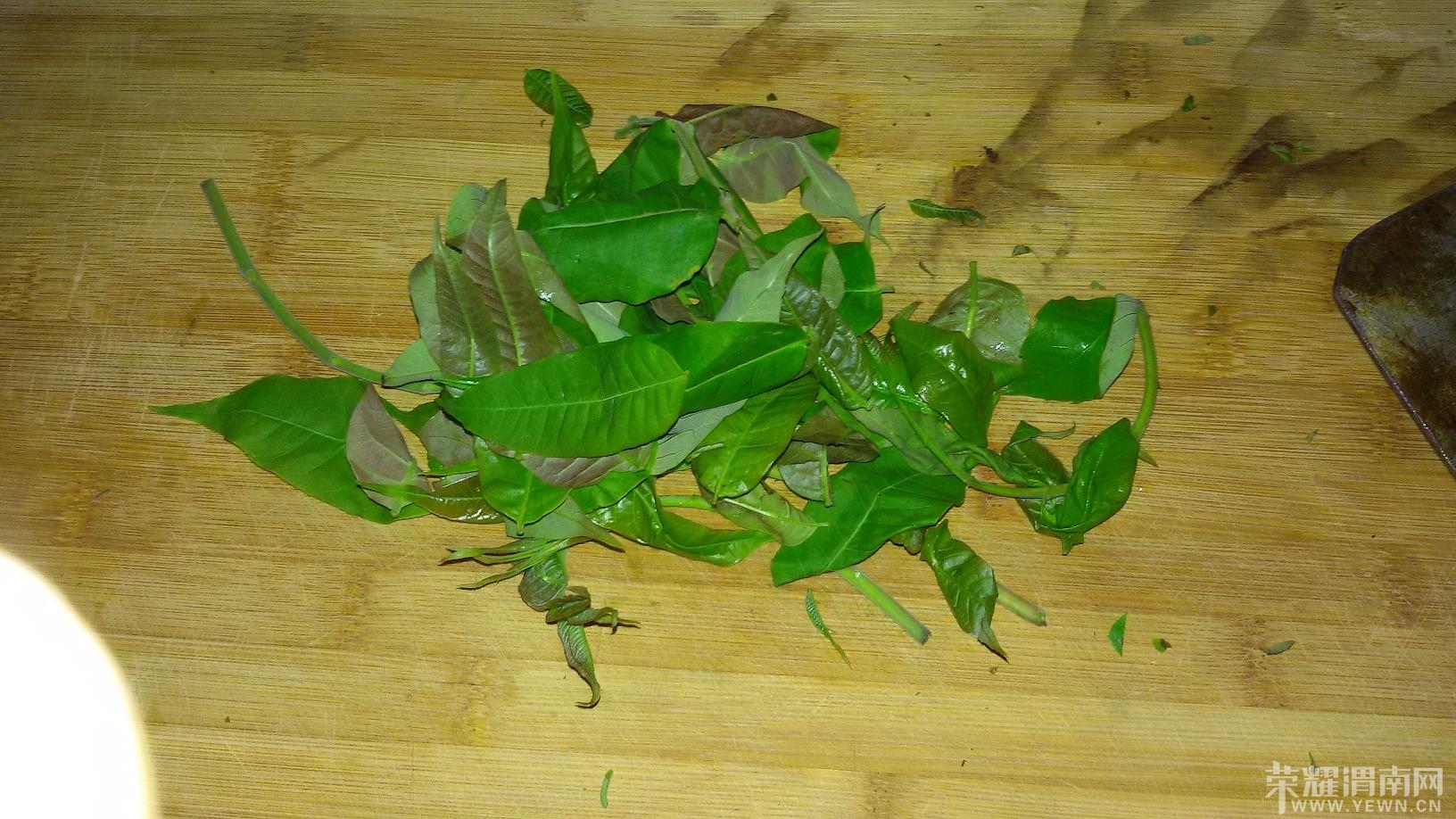 20140417_185618.jpg