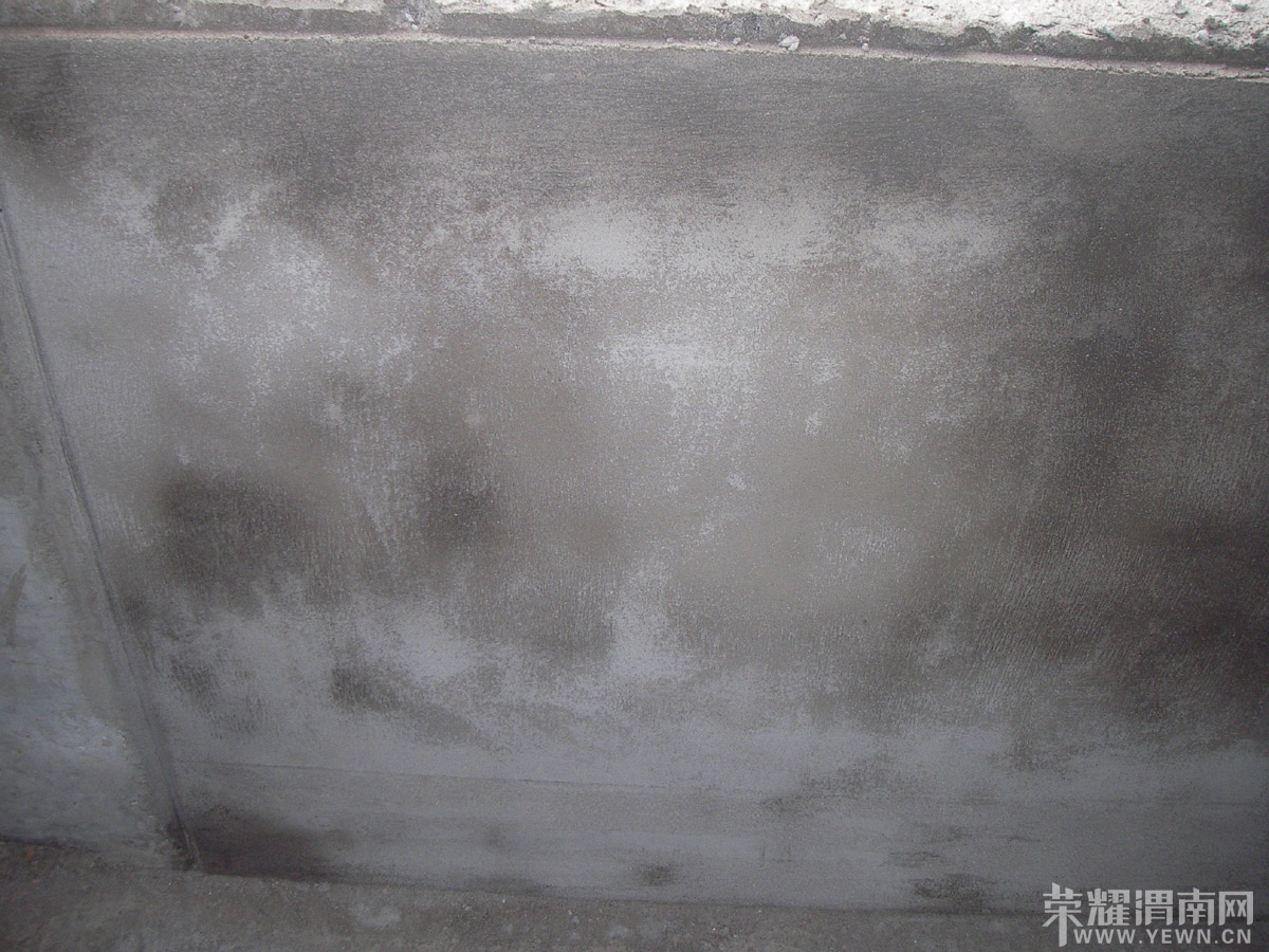 SANY0117.jpg