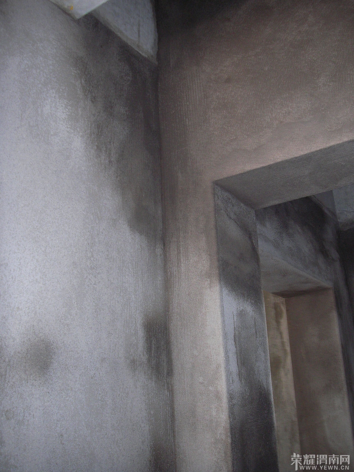 SANY0121.jpg