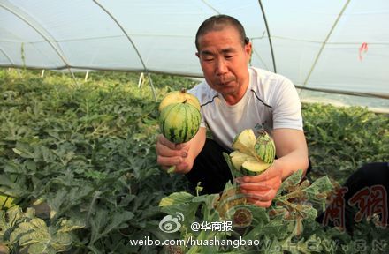 320_635906_f7249e47b0e9fad[1].jpg