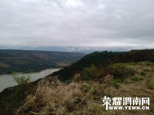 205551li1zgptrwq4p913i.jpg