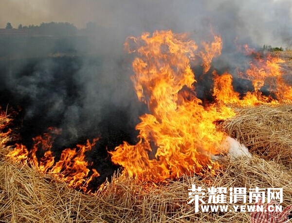 QQͼƬ20140609082954.jpg