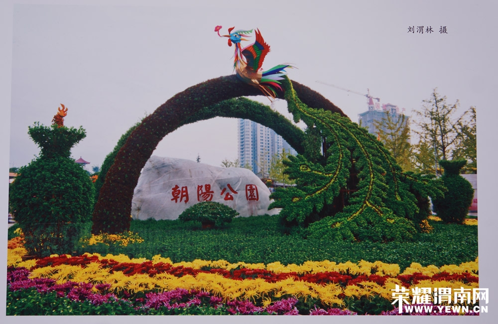 DSC04422.JPG
