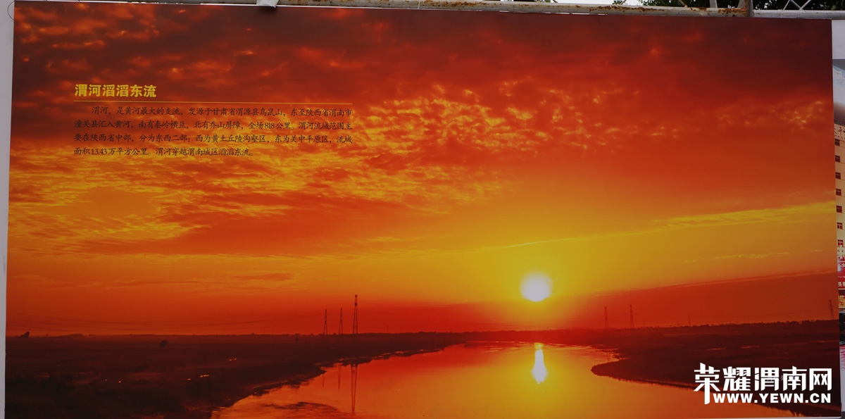 DSC04433.JPG