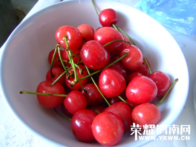 DSCF9560.JPG