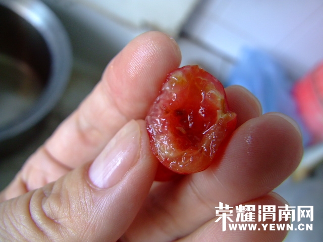DSCF9562.JPG