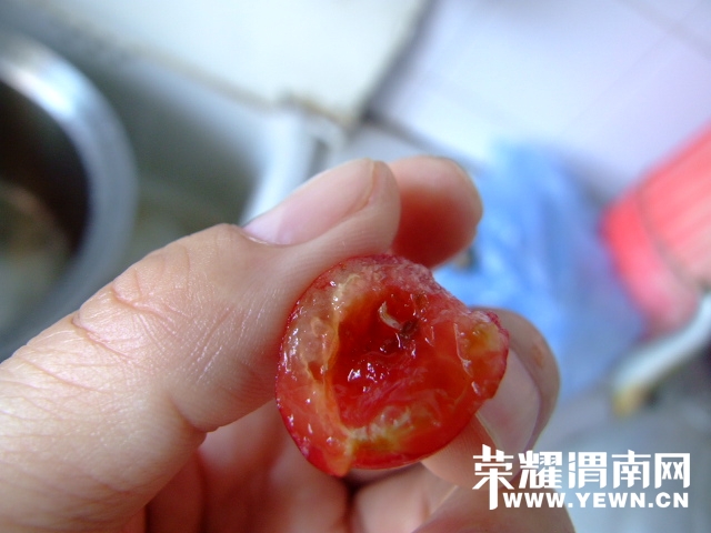 DSCF9563.JPG