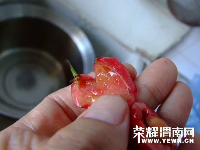 DSCF9566.JPG