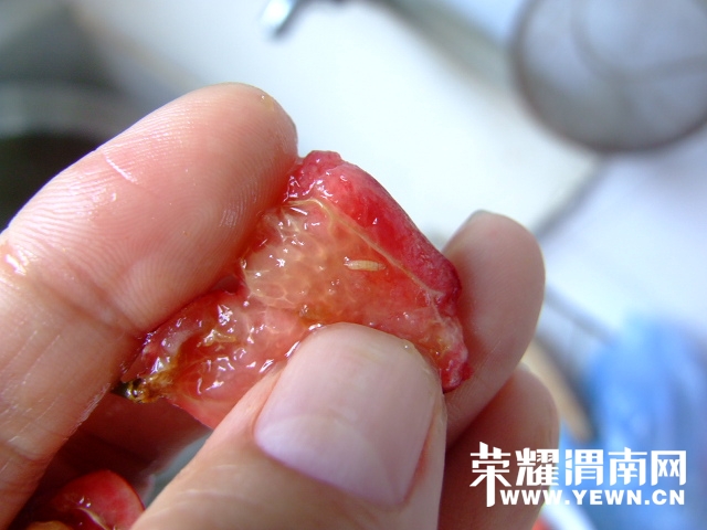 DSCF9568.JPG