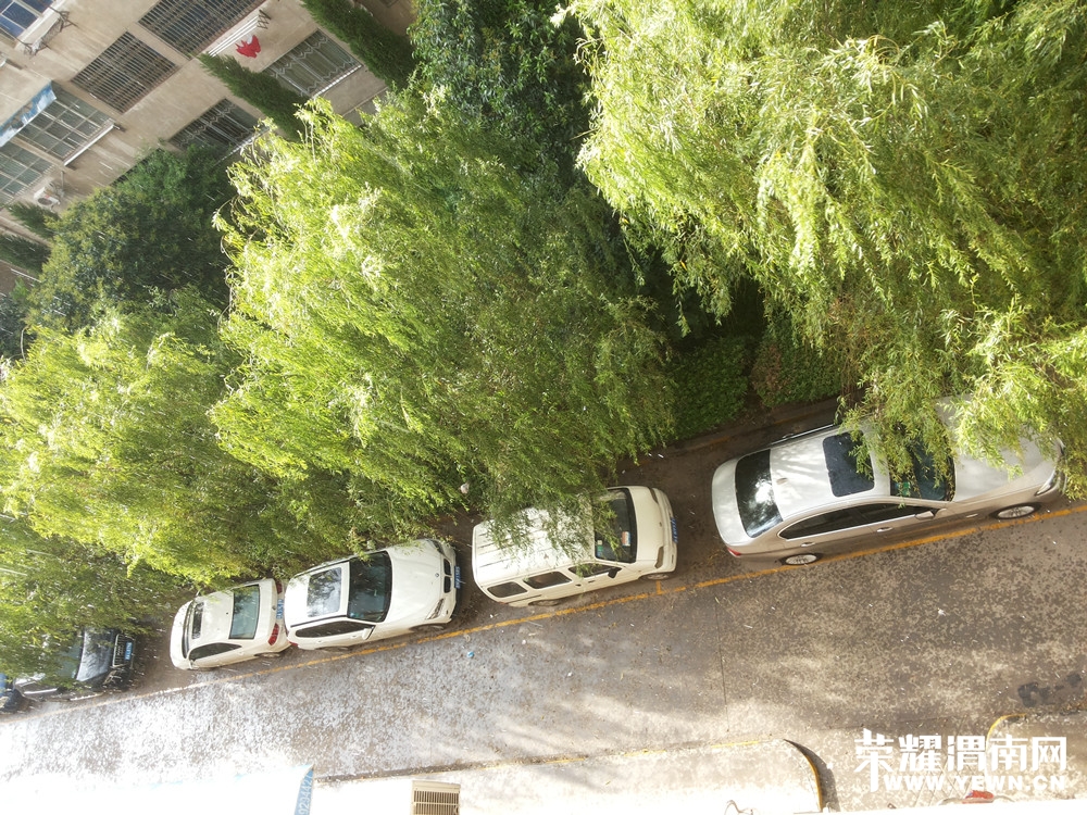 20140712_173413.jpg