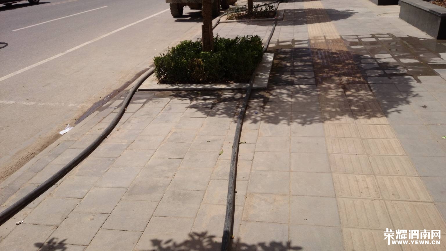 DSC_0034_��Ŀѹ��.jpg