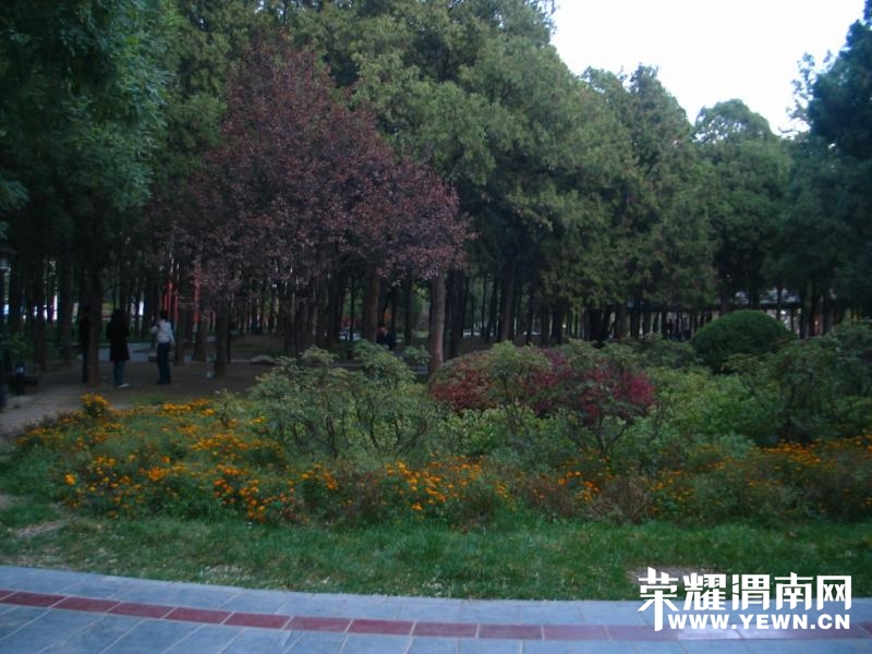 psu (1).jpg