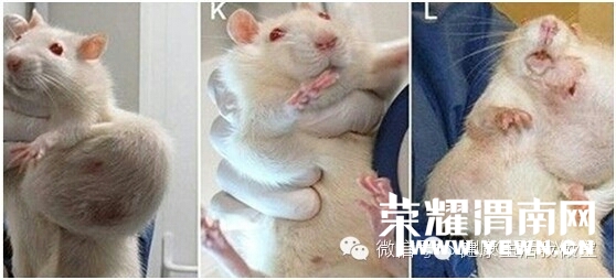 182758yj03300jzuybg8ug.jpg