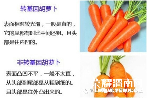 182807db0imglottymxo4g.jpg