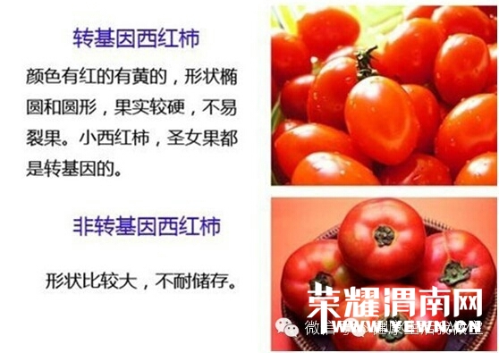 182810pho5vquzsf9haik8.jpg